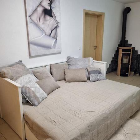 Appartment Im Untergeschoss Freilassing Εξωτερικό φωτογραφία